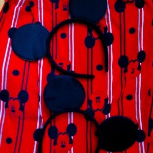 Disney Ears Headlands